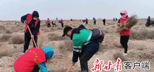 【省媒看金昌】金昌：不負春光植綠忙